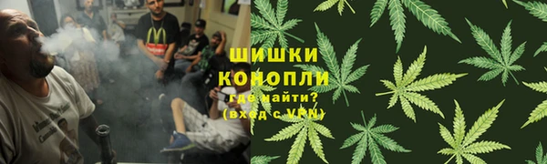 стаф Арсеньев
