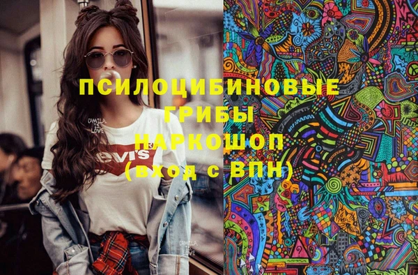 круглые Алзамай