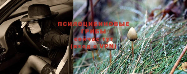 MESCALINE Аркадак