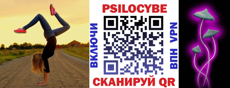 Купить  Будённовск  Псилоцибиновые грибы Psilocybe 
